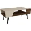 Image de Kalune Design, Table basse, Fabien (53.60 x 90 x 38 cm)