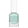 Image de Pastel Cosmetics, Vernis à ongles, PASTEL Nail Polish No. 313 13ml
