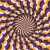 Image de Puzzle 1050 pièces : Illusion d'optique Magnolia