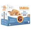 Image de 12x85g IAMS Delights Adult lot mixte Mer en gelée - Pâtée pour chat