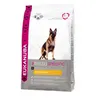 Image de Croquettes pour chien eukanuba adult breed specific berger allemand sac 12 kg (dluo 6 mois)