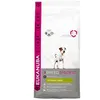 Image de EUKANUBA Croquettes au poulet - 2kg - Pour Jack Russell