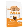 Image de 10kg Adult Pro Active Health Riche en poulet IAMS - Croquettes pour Chat