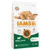 Image de 3kg Adult agneau/poulet Pro Active Health IAMS - Croquettes pour Chat