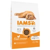 Image de 10kg Kitten & Junior IAMS Pro Active Health pour chaton