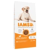Image de 12kg IAMS Advanced Nutrition Adult Large poulet - Croquettes pour chien