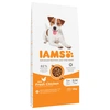 Image de 12kg IAMS Advanced Nutrition Adult Small & Medium poulet - Croquettes pour chien