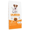 Image de 12kg IAMS Advanced Nutrition Senior Small & Medium 8+ poulet - Croquettes pour chien