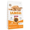 Image de 3kg IAMS for Vitality Adult Indoor poulet - Croquettes pour chat