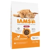 Image de 10kg IAMS for Vitality Adult Indoor poulet - Croquettes pour chat
