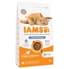 Image de 3kg IAMS for Vitality Adult Sterilised poulet - Croquettes pour chat