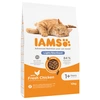 Image de 10kg IAMS for Vitality Adult Sterilised poulet - Croquettes pour chat