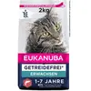 Image de Eukanuba Adult Grain Free riche en saumon pour chat - 2 kg