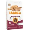Image de IAMS Advanced Nutrition Sensible dinde pour chat - 3 kg