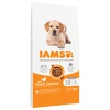 Image de IAMS Advanced Nutrition Puppy Large poulet pour chiot - 12 kg