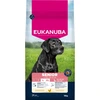 Image de 15kg Eukanuba Premium Nutrition Senior Large & Giant Breed aliment sec pour chiens au poulet