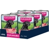 Image de Eukanuba Senior Riche en Boeuf et Citrouille - 6 x 400 g