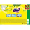 Image de Moulage et peinture - Dinos fantaisie