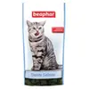 Image de Friandises ""dents saines"" a la chrolophylle - 35 g
