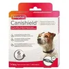 Image de Beapher canisheld - collier petit chien
