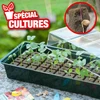 Image de Mini serre kit de germination pour culture hors sol (4x16 soit 64 alvéoles)
