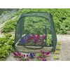 Image de Serre plastique pour carré potager - Filet anti-insectes