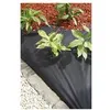 Image de Nappe de paillage - noir 50 gr/m² - 1x10 m