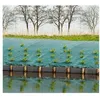 Image de Toile de paillage paysages - vert 90 gr/m² - 1x10m