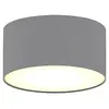 Image de Ranex 1000460 dream plafonnier gris 20 cm