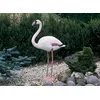 Image de Flamant rose décoratif de bassin à poser