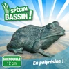 Image de Gargouille Grenouille - Ø9-13 mm - H12 cm