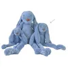 Image de Lapin Rabbit Richie deep blue