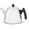 Image de Théière Bredemeijer Duet Classic 1,2 L