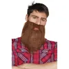 Image de Boland barbe Hipster hommes marron