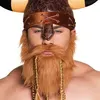 Image de barbe rousse viking avec tresses - boland 01847