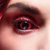 Image de lentilles semestrielles diable - 54 - boland 40042