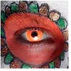Image de lentilles mensuelles 14mm fluo orange - 31 - boland 40086