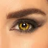 Image de lentilles hebdomadaires 14mm twilight - 16 - boland 40115