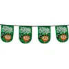 Image de Boland flag line st patricks day 6 mètres