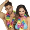 Image de collier hawaïen multicolore luxe - boland 52255