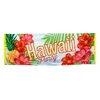 Image de Bannière - Hawaï Party - Paradise