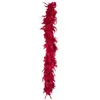 Image de boa 180cm - bordeaux - boland 52698