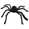 Image de araignée velue 50x65cm noir - boland 74394