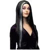 Image de perruque cheveux longs noirs mèches blanches femme - boland 86081