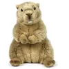 Image de Peluche marmotte WWF 23 cm