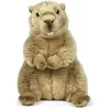 Image de WWF Marmotte (23 cm)