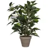 Image de Mica, Plantes artificielles, Plante artificielle Ficus natasja Ø 30 H 40 cm vert (40 cm)