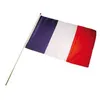 Image de Drapeau France 30 X 45cm - Tricolore