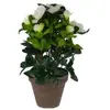 Image de Mica Decorations, Plantes artificielles, Azalée artificielle blanche en pot (27 cm)
