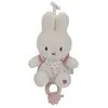 Image de boîte à musique miffy - lucky blossom